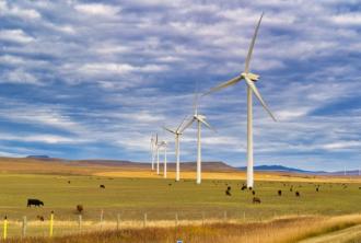 Wind tubines in farm fields
